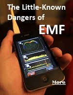 Electromagnetic fields (EMFs) can cause symptoms of illness in infants, children and adults, particularly those who already experience low immunity.